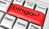Play Free Bingo Online Now